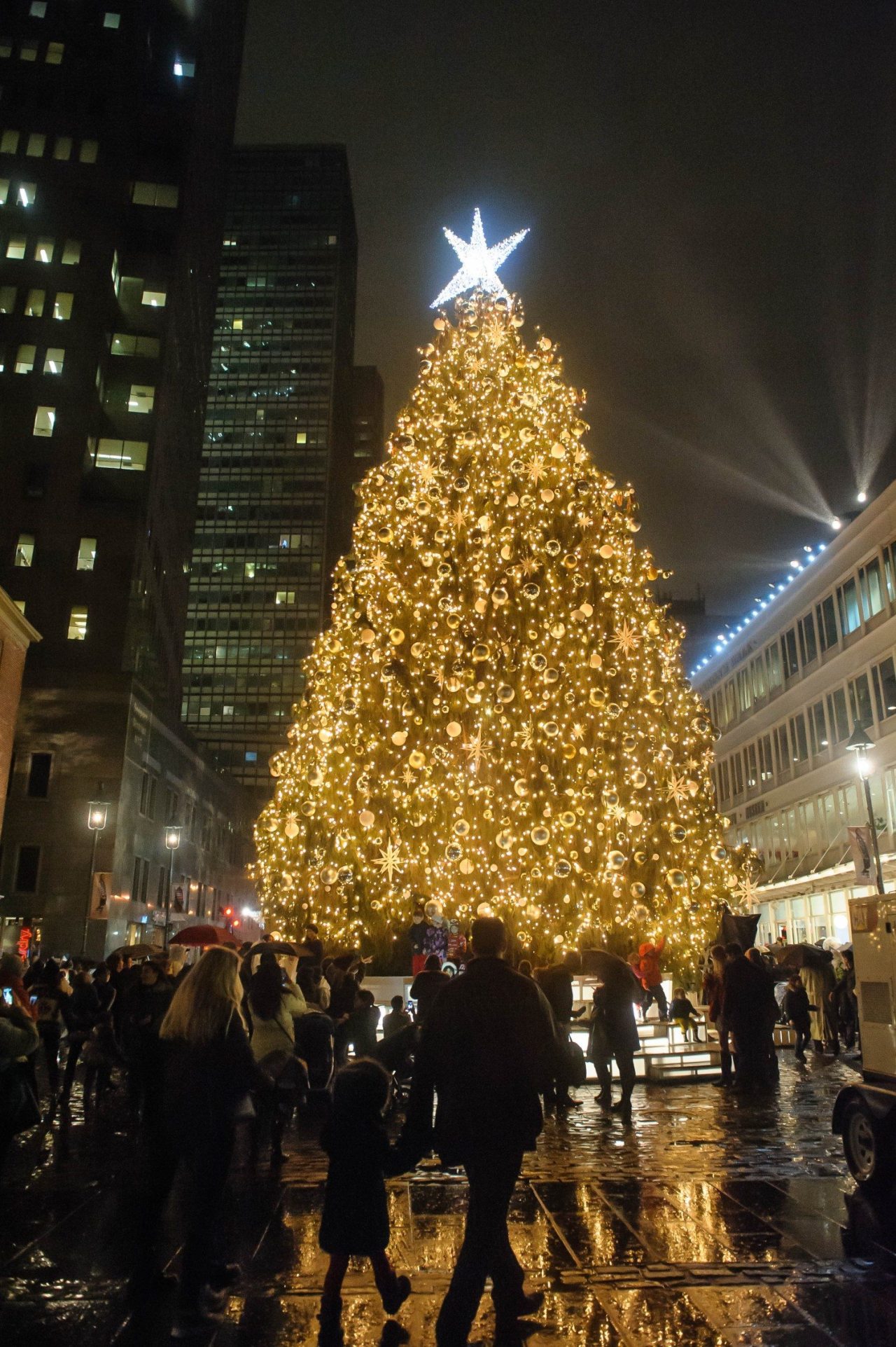 Seaport_TreeLighting_2015_jkratochvil_6540_-1500x2254