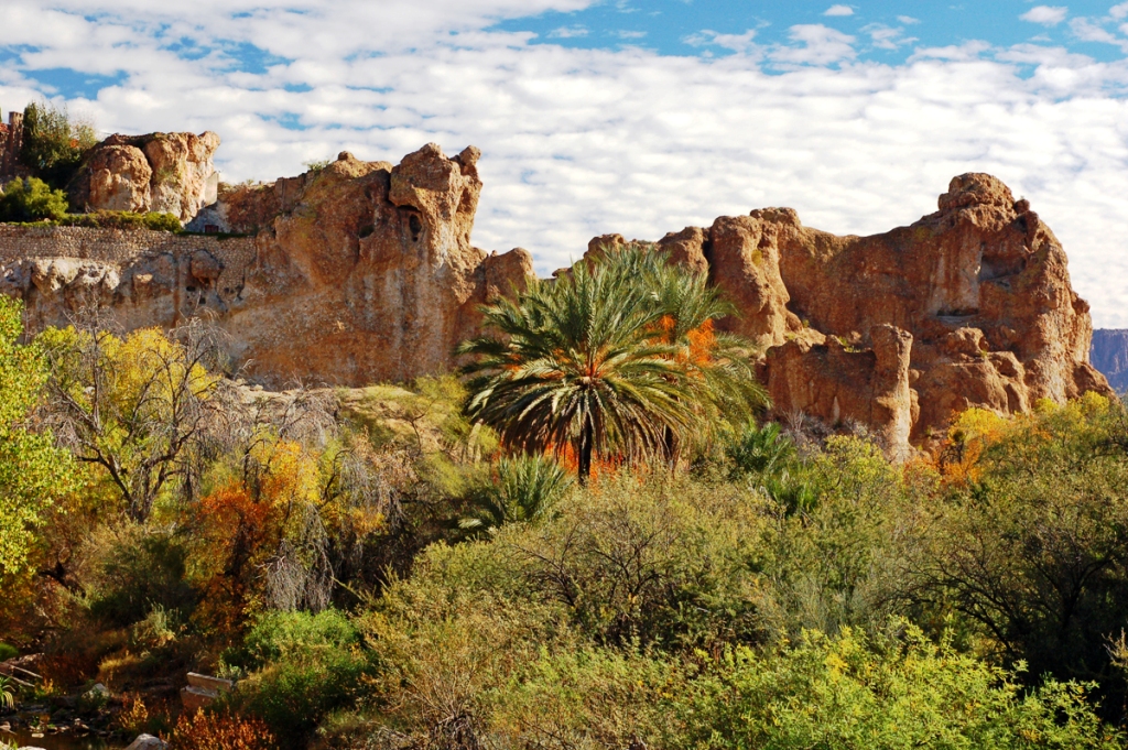 Boyce-Thompson-Arboretum-and-Arnett-Queen-Creeks_GarryWilmore_compressed